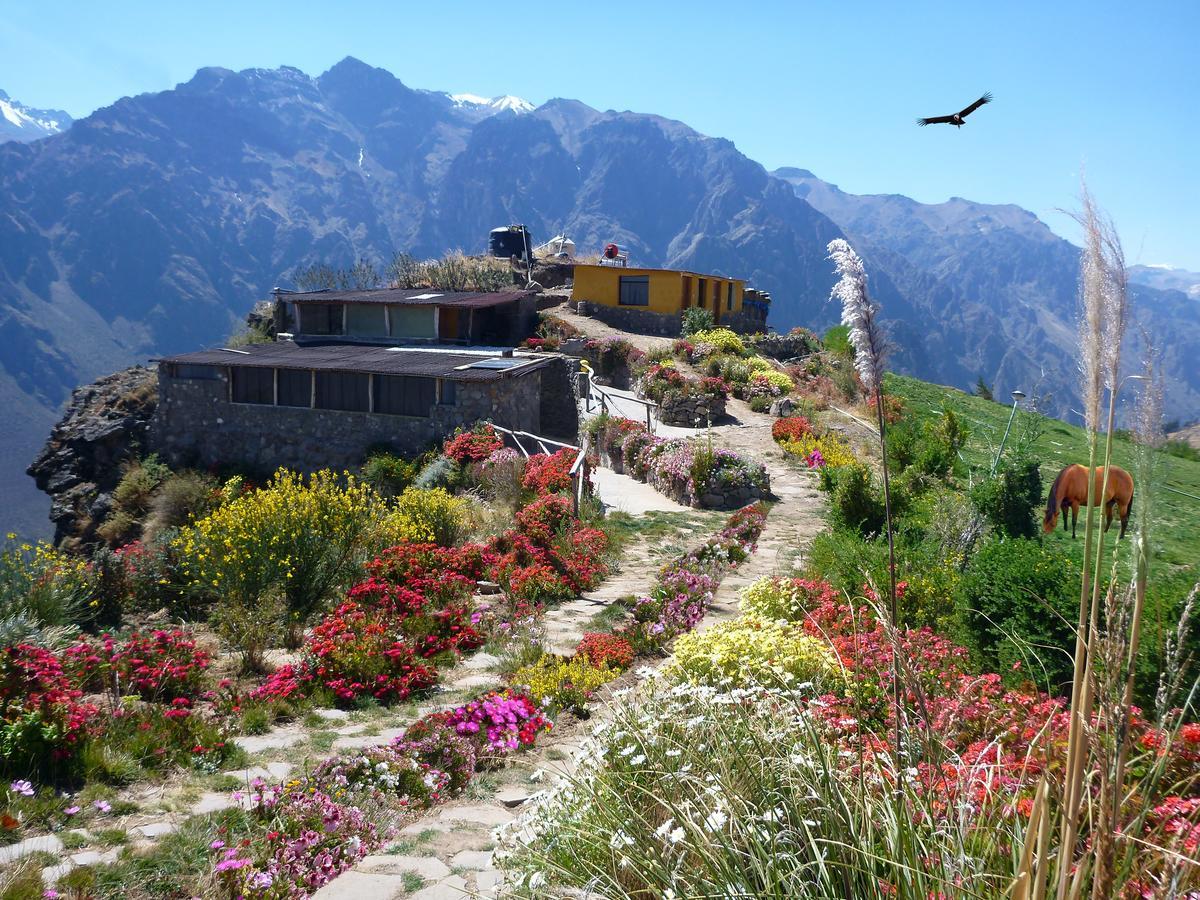 La Granja Del Colca Villa Cabanaconde Buitenkant foto