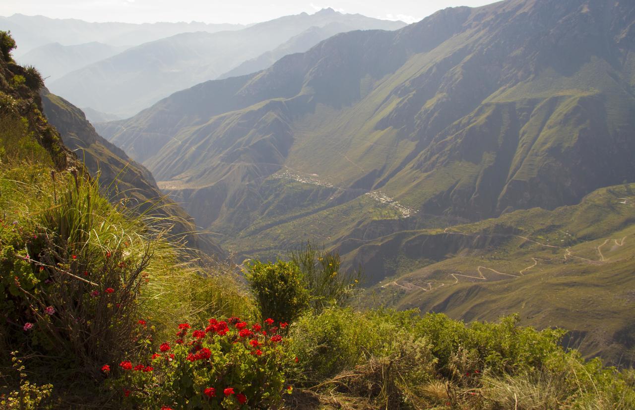La Granja Del Colca Villa Cabanaconde Buitenkant foto