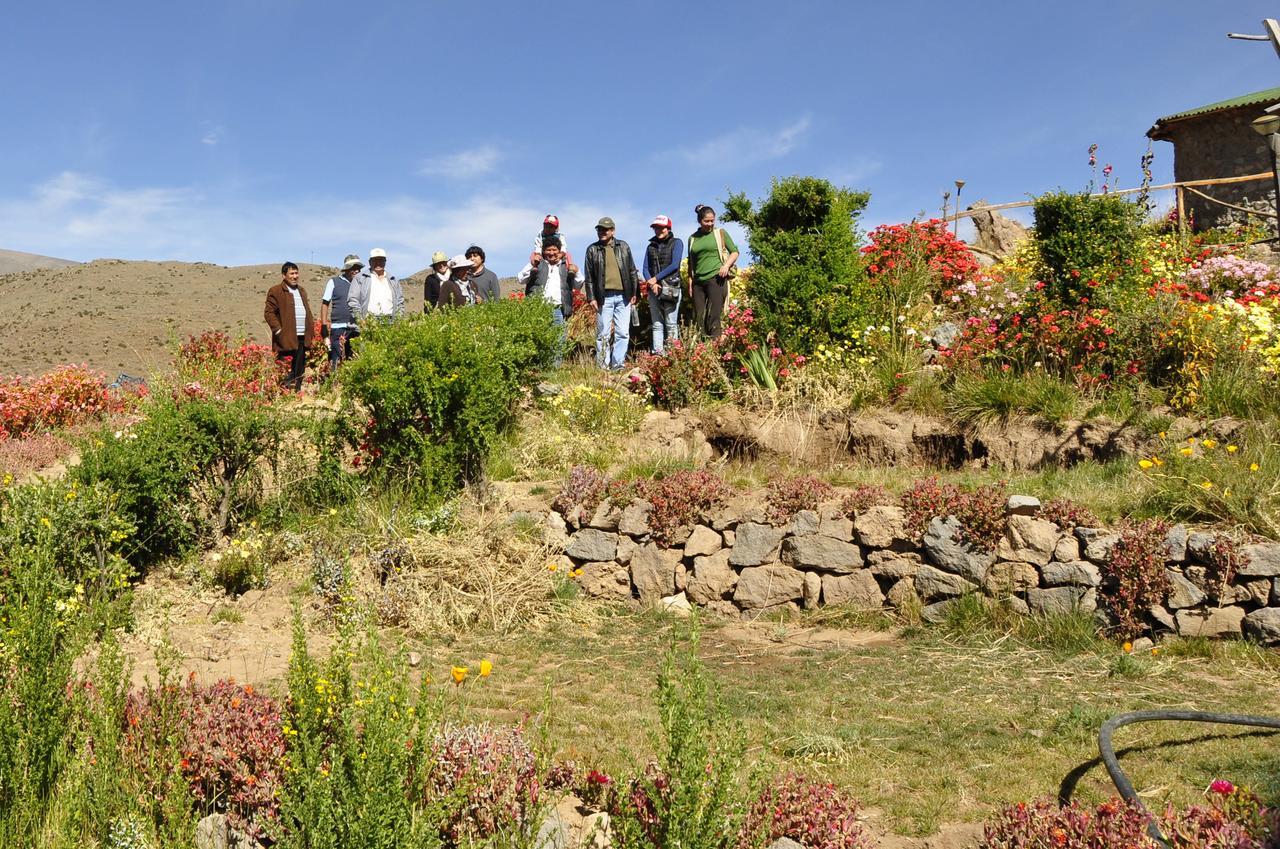 La Granja Del Colca Villa Cabanaconde Buitenkant foto