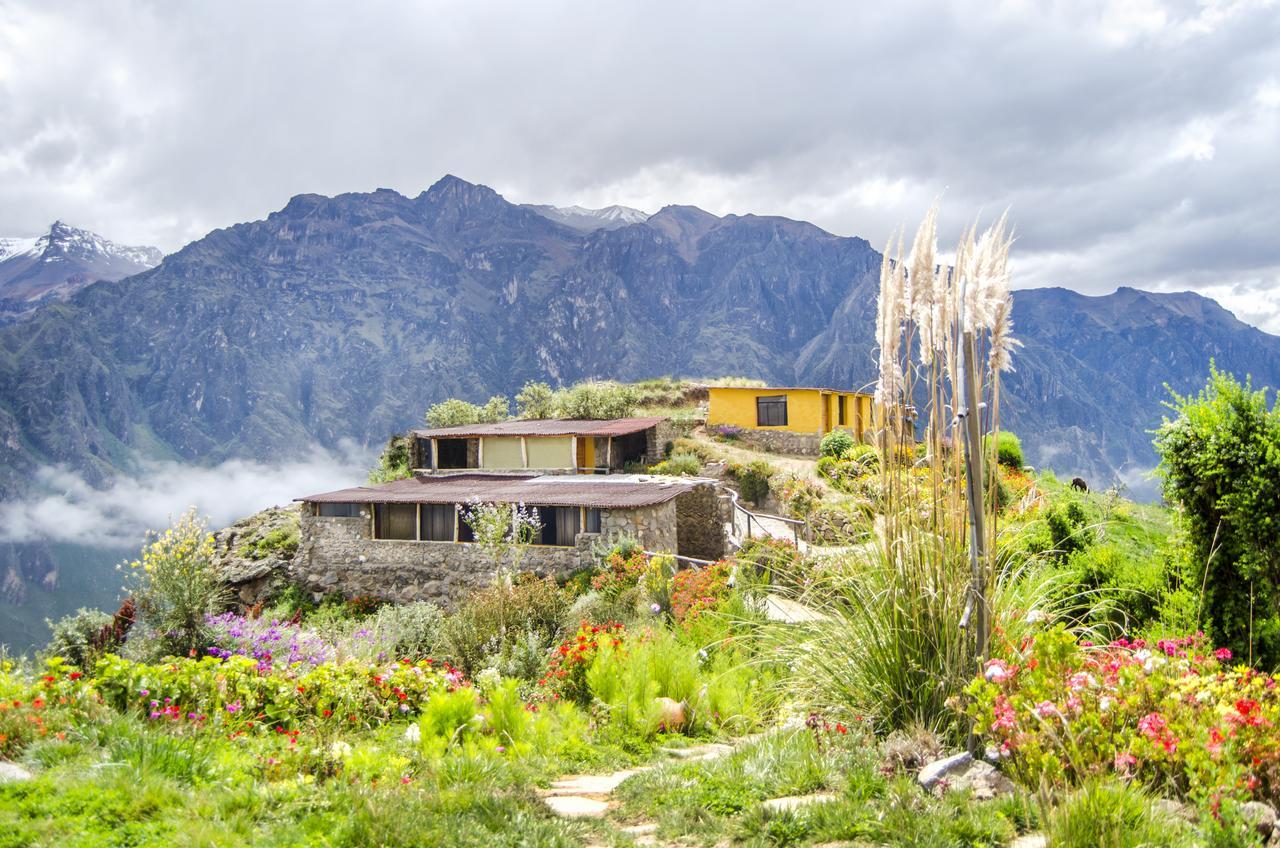 La Granja Del Colca Villa Cabanaconde Buitenkant foto
